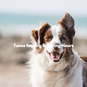 Tunes for Dog Relaxing Hours - Cafe Smooth Jazz Radio