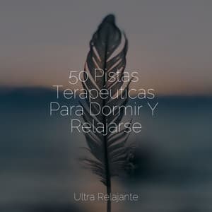 50 Pistas Terapéuticas Para Dormir Y Relajarse - Musica Relajante Para Estudiar