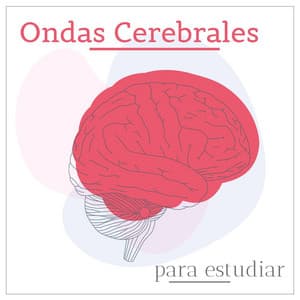 Ondas Cerebrales para Estudiar: Potenciar el Poder del Cerebro, la Memoria y la Concentración - Noche de Paz