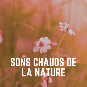 Sons Chauds de LA Nature - Oasis de Musique Nature Relaxante