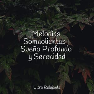 Melodías Somnolientas | Sueño Profundo y Serenidad - Sonidos de la Naturaleza