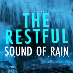The Restful Sound of Rain - The Relaxing Sounds of Water