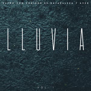 Lluvia: Sueño Con Sonidos De Naturaleza Y Aves Vol. 1 - Fabricantes De Lluvia