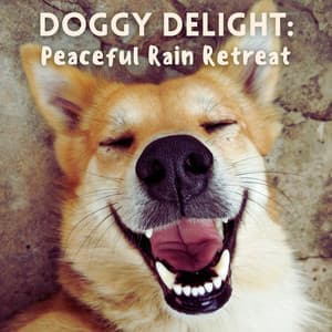 Doggy Delight: Peaceful Rain Retreat - Stormy Station