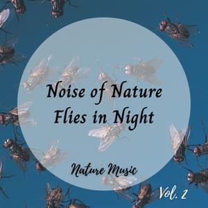 Nature Music: Noise of Nature Flies in Night Vol. 2 - Sleep Nature Sounds