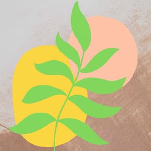 Acoustic Guitar Quartet - Music for Lounge Moods - Lounge Music Channel