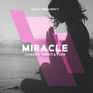 Miracle Chakra Meditation - Solfi Frequency