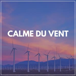 Calme du Vent - Musique Relaxante