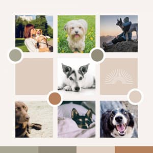 Music for Energetic Puppy - Scintillating Trumpet, Electric Piano, Alto Sax and Soprano Sax - Dog Jazz Sounds