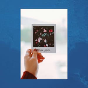 Music for Comfortable Afternoon - Dinner Music