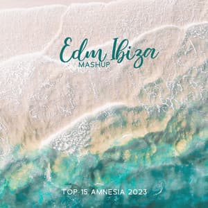 Edm Ibiza Mashup – Top 15 Amnesia 2023 - Edm 2023