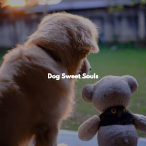 Dog Sweet Souls - Cafe Music Jazz Channel