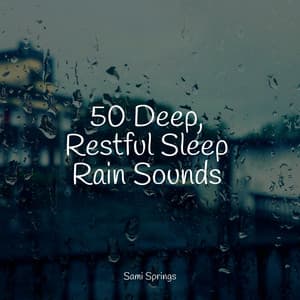 50 Deep, Restful Sleep Rain Sounds - Natural Samples