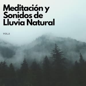 Meditación Y Sonidos De Lluvia Natural Vol. 2 - Estudio de sonidos de lluvia