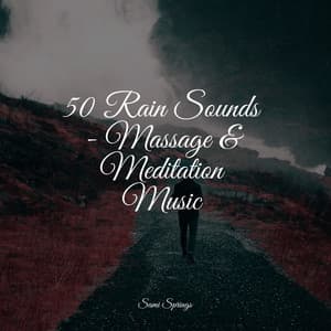 50 Rain Sounds - Massage & Meditation Music - Ready Baby Music!