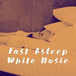 Fast Asleep White Nosie - White Noise Collection
