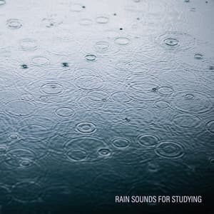 Rain Sounds for Studying - Meditation Flute & Piano Music for Study Time and Exam Analysis, Concentration Music for Students - Healing Rain Sound Academy