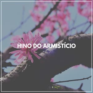 Hino do Armistício - Musicoterapia New Age