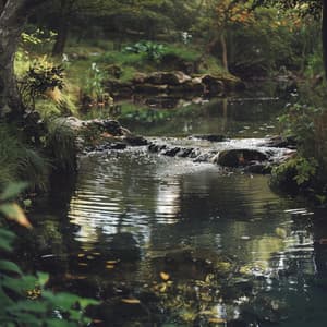 Meditación Del Arroyo: Sonidos Tranquilos De Agua Para Atención Plena - Santuario de la Música de Buda