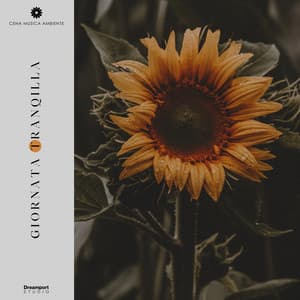 Giornata Tranquilla - Cena Musica Ambiente