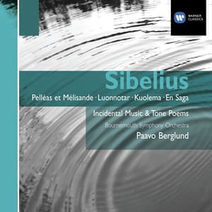 Sibelius Orchestral Works - Jean Sibelius