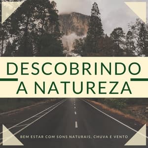 Descobrindo a Natureza - 20 Faixas Relaxantes para Viver em Paz Consigo Mesmo, Bem Estar com Sons Naturais, Chuva e Vento - Beatriz Natureza Flores