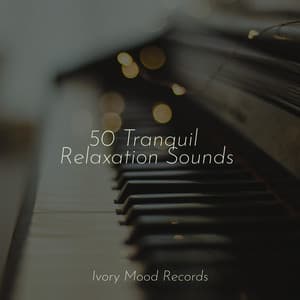 50 Tranquil Relaxation Sounds - Ivory Mood