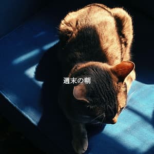 週末の朝 - Musique du Matin