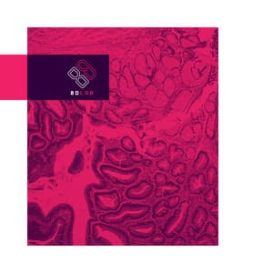 Soft Touch - 8D Lab - Piano Music