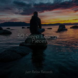 50 Sleep Lounge Pieces - Musica Reiki