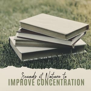 Sounds of Nature to Improve Concentration - Study Time, Prepare for Exams - Study New Age Counter Display