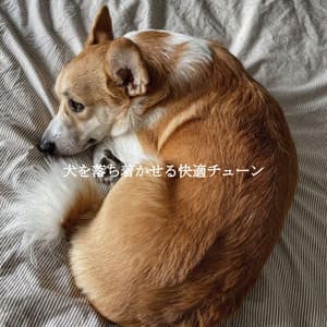 犬を落ち着かせる快適チューン - Música de la Oficina