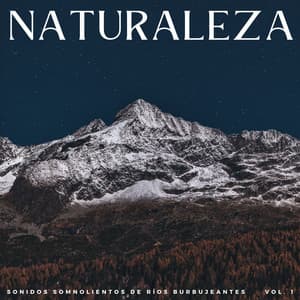 Naturaleza: Sonidos Somnolientos De Ríos Burbujeantes Vol. 1 - Grabaciones relajantes de la Naturaleza
