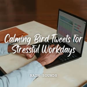 Rain Sounds: Calming Bird Tweets for Stressful Workdays - Rain Hard