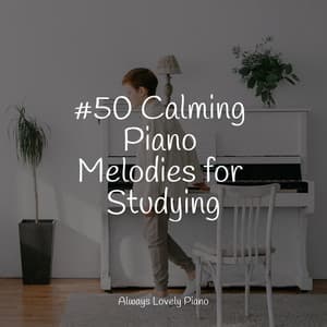 50 Tranquil Sounds to Help You Relax - Calm Music for Studying