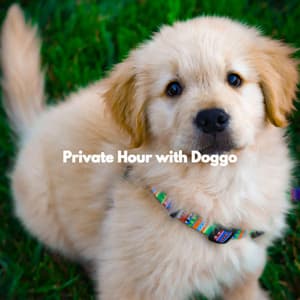 Private Hour with Doggo - Easy Listening Instrumental Music