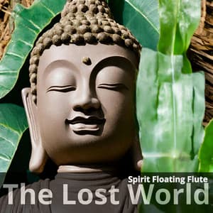 The Lost World: Spirit Floating Flute, Ancient Meditation, Peace and Eternal Love - Indian Heart
