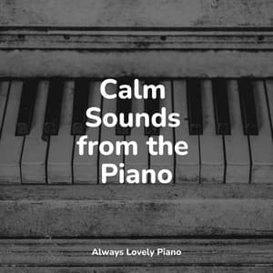 Piano for Instant Quiet Listening and Relaxation - Chakra Balancing Sound Therapy