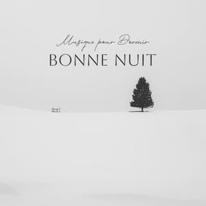 Bonne nuit - Musique pour Dormir