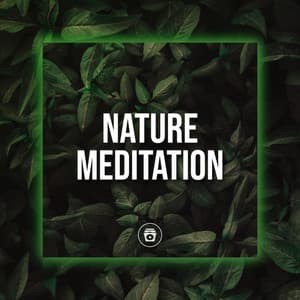 Nature Meditation - Jungle Sounds