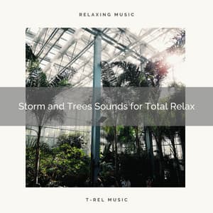 Storm and Trees Sounds for Total Relax - Calm Rain for Sleep