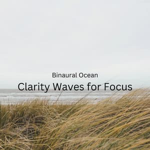 Binaural Ocean: Clarity Waves for Focus - Binaural Beats System