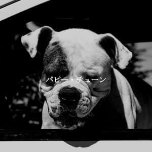 パピー・チューン - Hotel Lobby Jazz Group