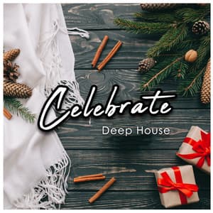 Celebrate Deep House - Chill Music House