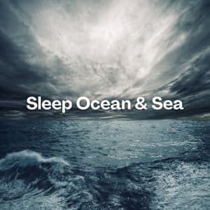 Sleep Ocean & Sea - Sea Sounds Channel