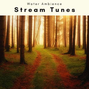 1 Stream Tunes - Water Ambience