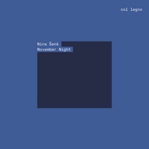 November Night - Nina Šenk