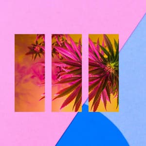 Acoustic Smooth Jazz Guitar - Ambiance for Brave Acoustics - Good Morning Jazz Cafe