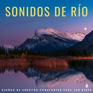 Sonidos Del Río: Sueños De Arroyos Constantes Para Los Bebés - Sonidos de agua para dormir
