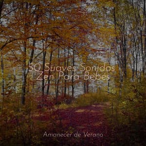 50 Suaves Sonidos Zen Para Bebés - Sons da Natureza
